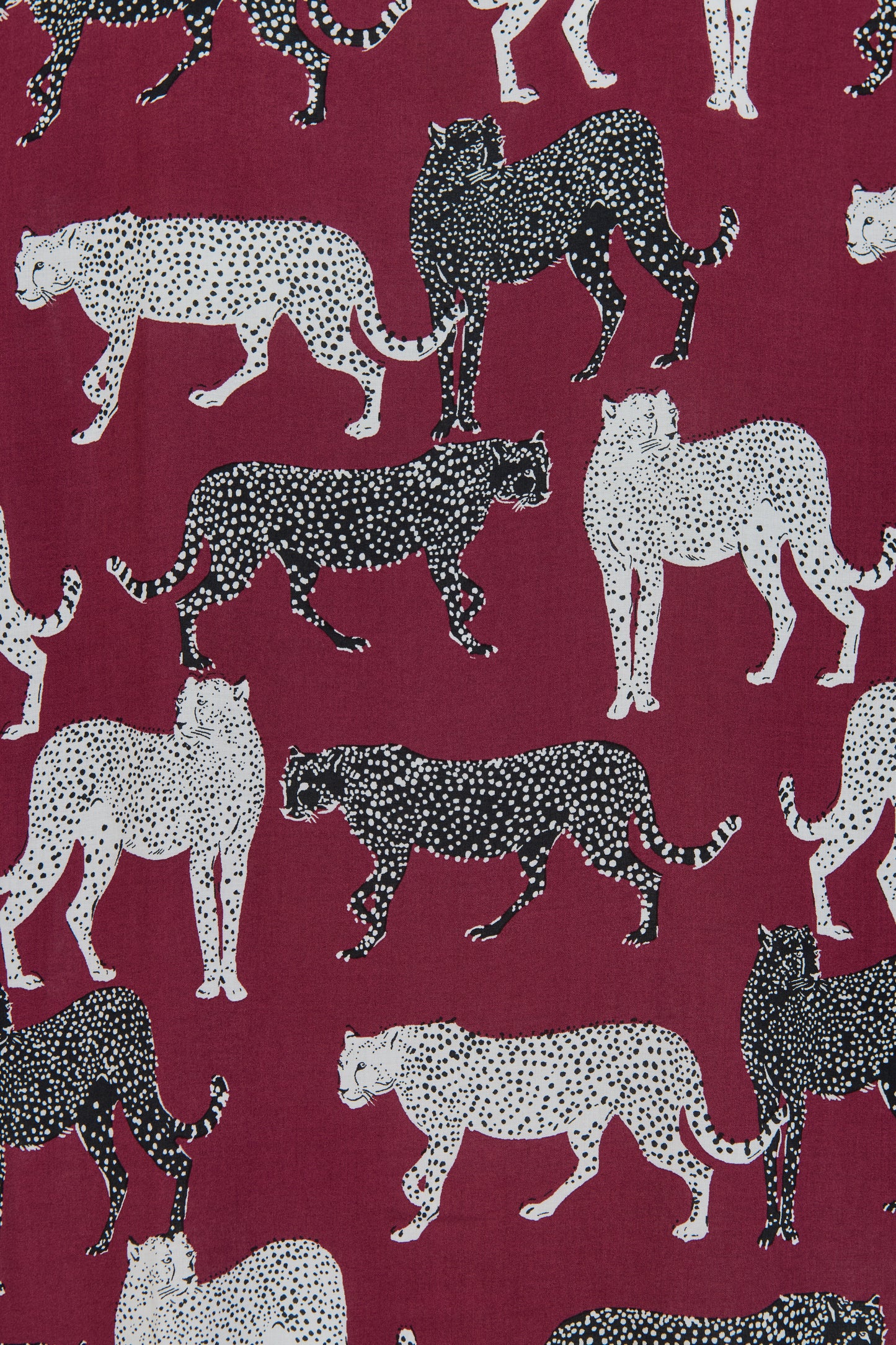 Serengeti Gömlek - Pantolon