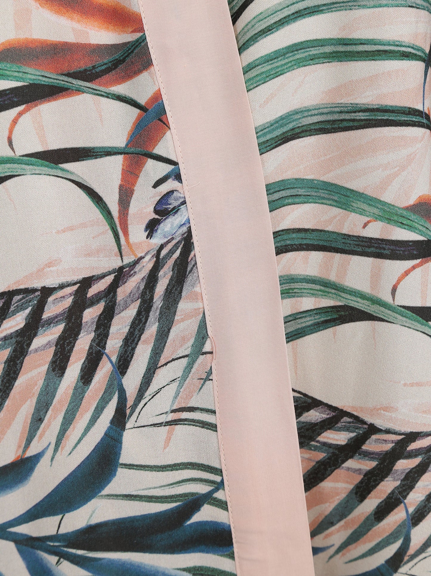Dypsis Kimono