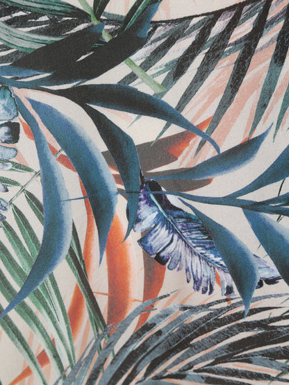 Dypsis Kimono