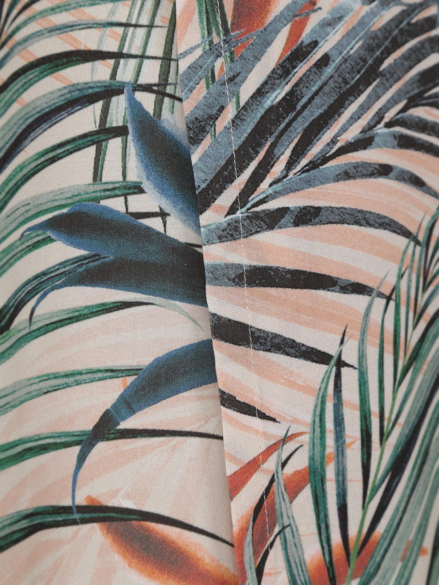 Dypsis Pareo