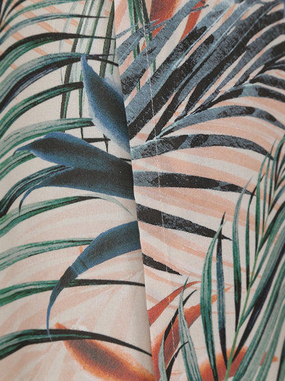 Dypsis Pareo